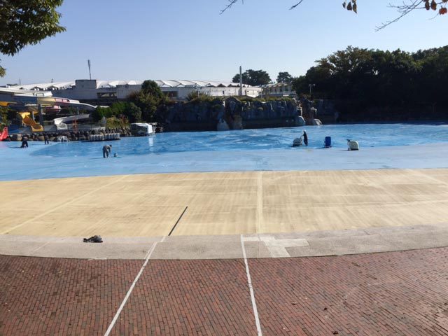 プール高圧洗浄作業